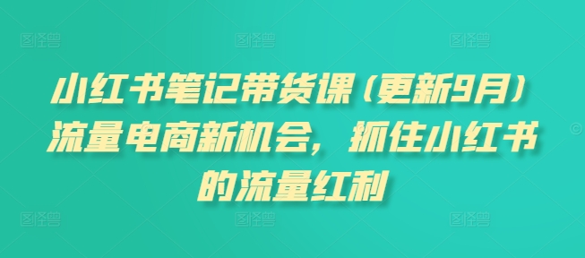 小红书笔记带货课【9月更新】流量电商新机会，抓住小红书的流量红利-一鸣资源网