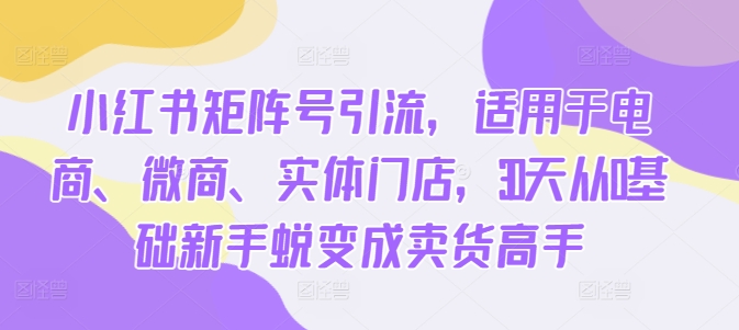 小红书矩阵号引流，适用于电商、微商、实体门店，30天从0基础新手蜕变成卖货高手-一鸣资源网