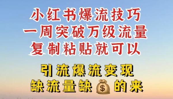 小红书爆流技巧，一周突破万级流量，复制粘贴就可以，引流爆流变现【揭秘】-一鸣资源网