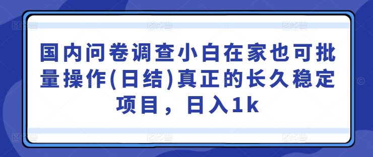 国内问卷调查小白在家也可批量操作(日结)真正的长久稳定项目，日入1k【揭秘】-一鸣资源网