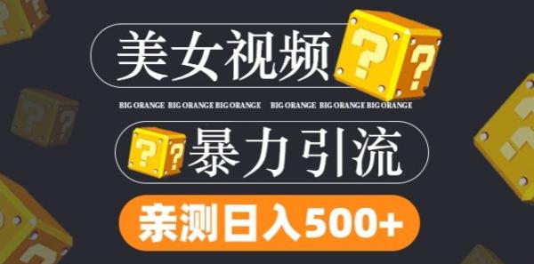 搬运tk美女视频全网分发，日引s粉300+，轻松变现，不限流量不封号【揭秘】-一鸣资源网