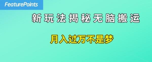 简单操作，每天50美元收入，搬运就是赚钱的秘诀【揭秘】-一鸣资源网