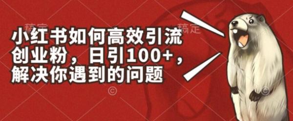 小红书如何高效引流创业粉，日引100+，解决你遇到的问题【揭秘】-一鸣资源网