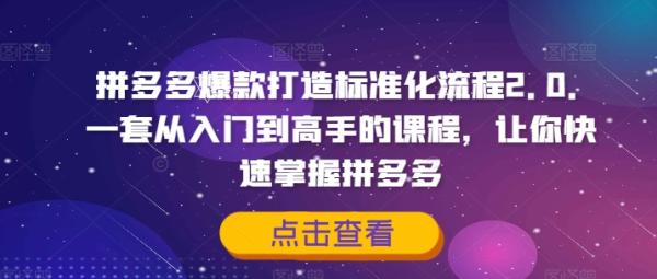 拼多多爆款打造标准化流程2.0，一套从入门到高手的课程，让你快速掌握拼多多-一鸣资源网