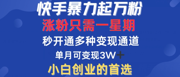 快手暴力起万粉，涨粉只需一星期，多种变现模式，直接秒开万合，单月变现过W【揭秘】-一鸣资源网