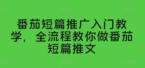 番茄短篇推广入门教学，全流程教你做番茄短篇推文-一鸣资源网