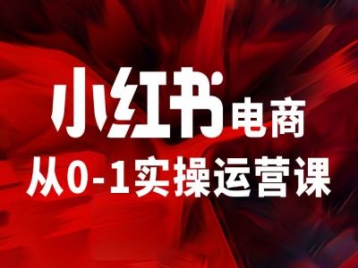 小红书电商从0-1实操运营课，让你从小白到精英-一鸣资源网