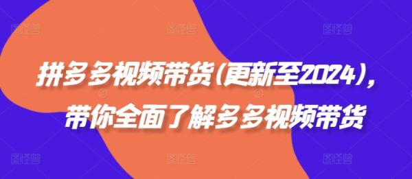 拼多多视频带货(更新至2024)，带你全面了解多多视频带货-一鸣资源网