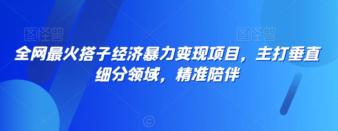 全网最火搭子经济暴力变现项目，主打垂直细分领域，精准陪伴【揭秘】-一鸣资源网