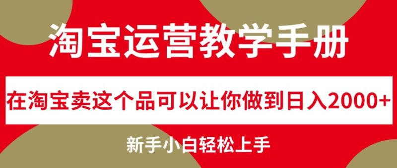 淘宝运营教学手册，在淘宝卖这个品可以让你做到日入2000+-一鸣资源网