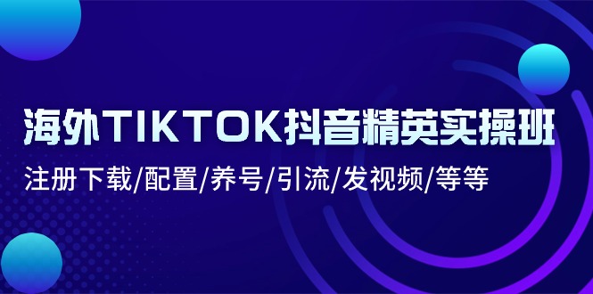 海外TIKTOK抖音精英实操班：注册下载/配置/养号/引流/发视频/等等-一鸣资源网