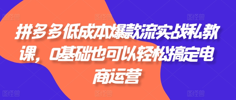 拼多多低成本爆款流实战私教课，0基础也可以轻松搞定电商运营-一鸣资源网