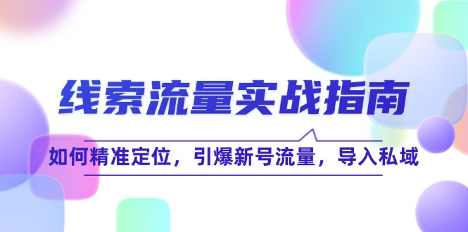 线 索 流 量-实战指南：如何精准定位，引爆新号流量，导入私域-一鸣资源网