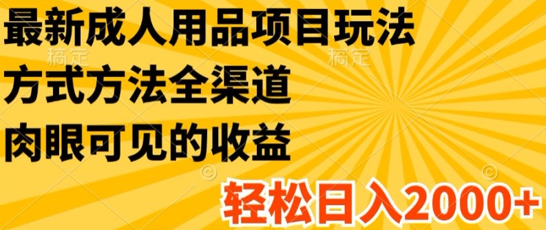 最新成人用品项目玩法，方式方法全渠道，轻松日入2K+【揭秘】-一鸣资源网