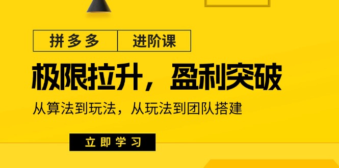 拼多多·进阶课：极限拉升/盈利突破：从算法到玩法 从玩法到团队搭建-18节-一鸣资源网