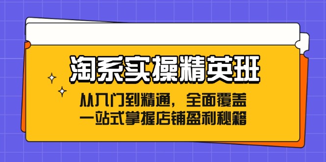 淘系实操精英班：从入门到精通，全面覆盖，一站式掌握店铺盈利秘籍-一鸣资源网