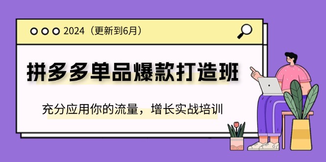 2024拼多多-单品爆款打造班(更新6月)，充分应用你的流量，增长实战培训-一鸣资源网