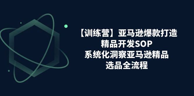 【训练营】亚马逊爆款打造之精品开发SOP，系统化洞察亚马逊精品选品全流程-一鸣资源网