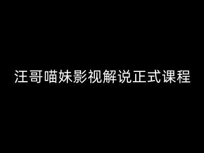 汪哥影视解说正式课程：剪映/PR教学/视解说剪辑5大黄金法则/全流程剪辑7把利器等等-一鸣资源网