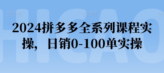 2024拼多多全系列课程实操，日销0-100单实操【必看】-一鸣资源网