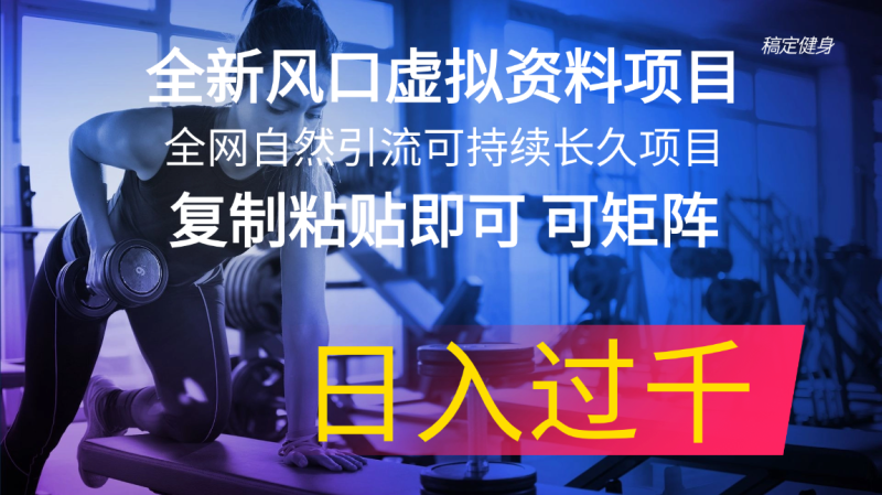 全新风口虚拟资料项目 全网自然引流可持续长久项目 复制粘贴即可可矩阵-一鸣资源网