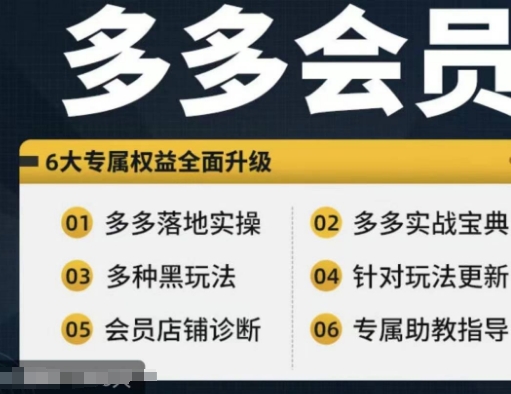 拼多多会员，拼多多实战宝典+实战落地实操，从新手到高阶内容全面覆盖-一鸣资源网