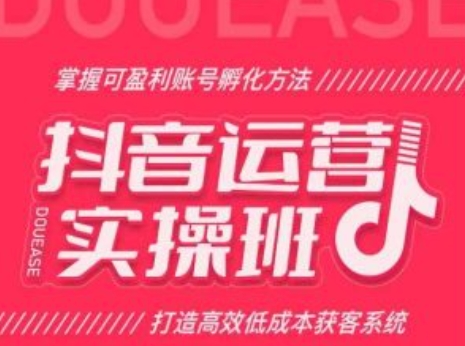 抖音运营实操班，掌握可盈利账号孵化方法，打造高效低成本获客系统-一鸣资源网