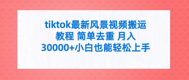 TIKTOK最新风景视频搬运教程 简单去重 月入3W+小白也能轻松上手【揭秘】-一鸣资源网