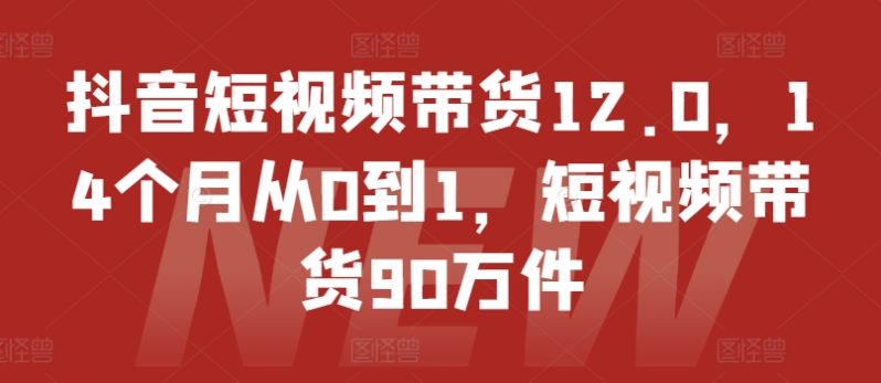 抖音短视频带货12.0，14个月从0到1，短视频带货90万件-一鸣资源网