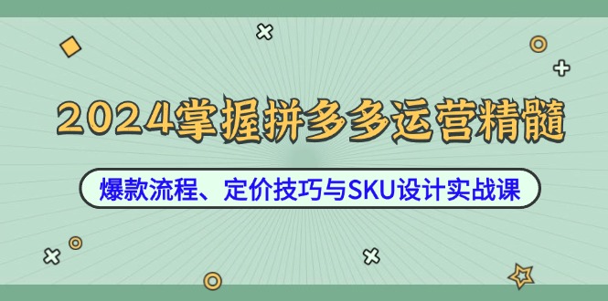 2024掌握拼多多运营精髓：爆款流程、定价技巧与SKU设计实战课-一鸣资源网