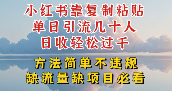 小红书靠复制粘贴单日引流几十人目收轻松过千，方法简单不违规【揭秘】-一鸣资源网